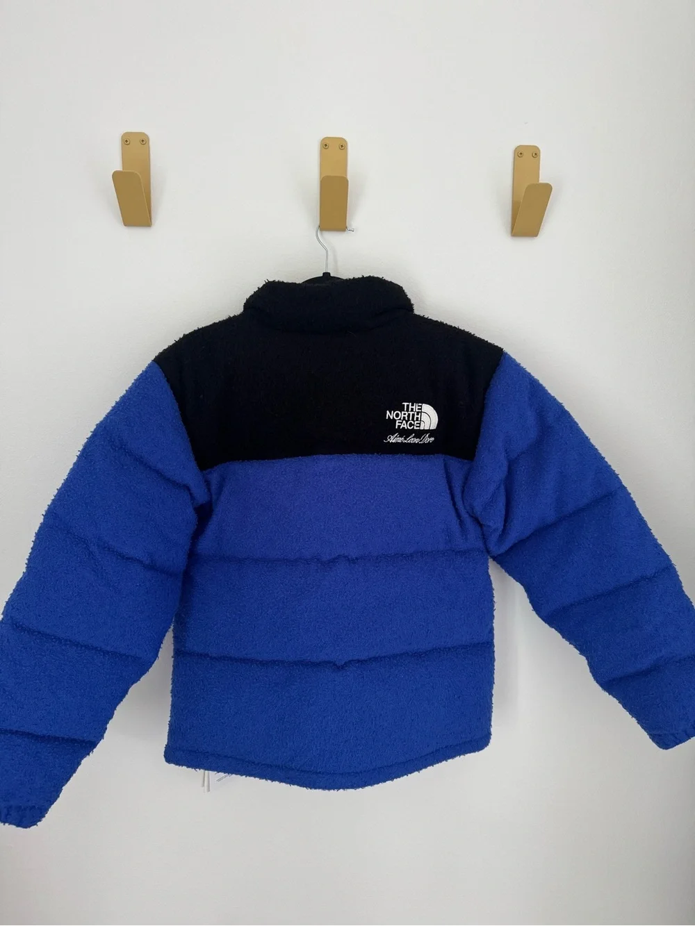 The North Face x Aime Leon Dore Casentino Nuptse Size Small BNWT
